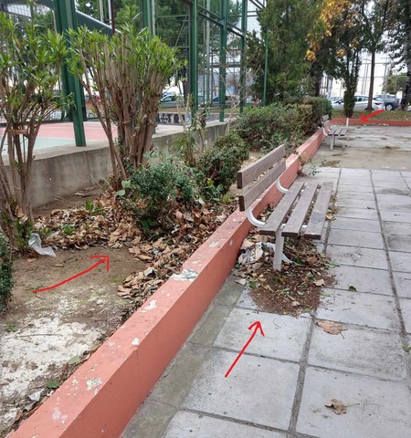 Φωτογραφία 3